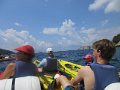 kayak morning